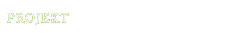 Projekt
